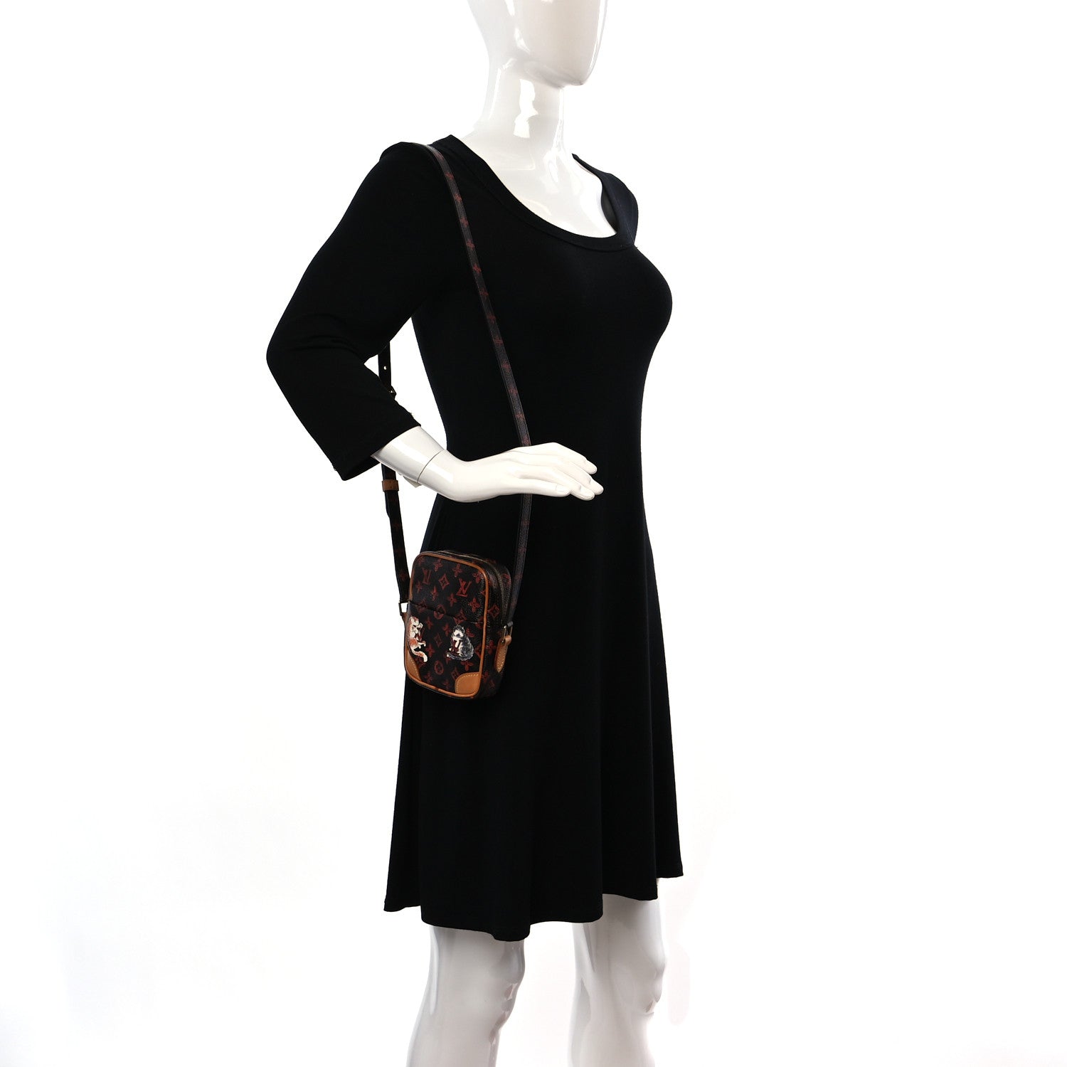 Louis Vuitton Catogram Small Paname Marron 2 of 8