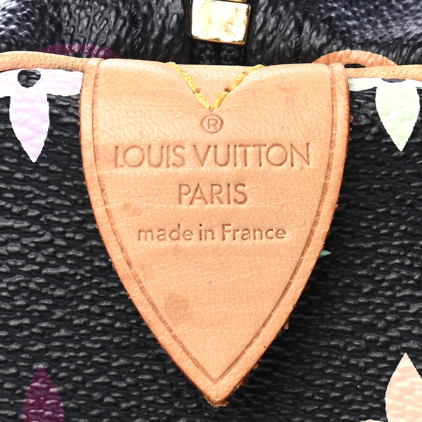 Monogram Multicolor Speedy 30 Black