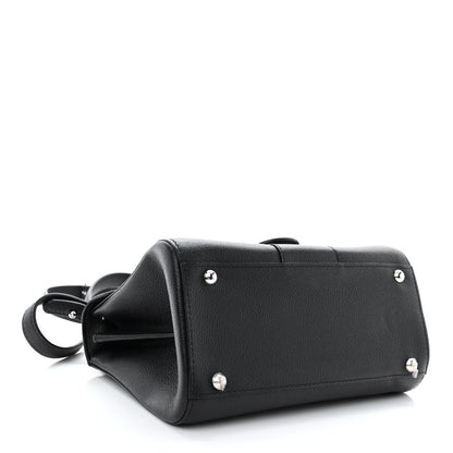 Delvaux Grained Rodeo Calfskin Mini Brillant Camaieux Satchel Black 5 of 11