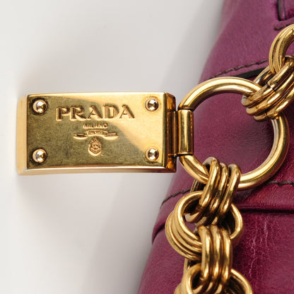 Prada Vitello Shine Hobo Erica 5 of 9