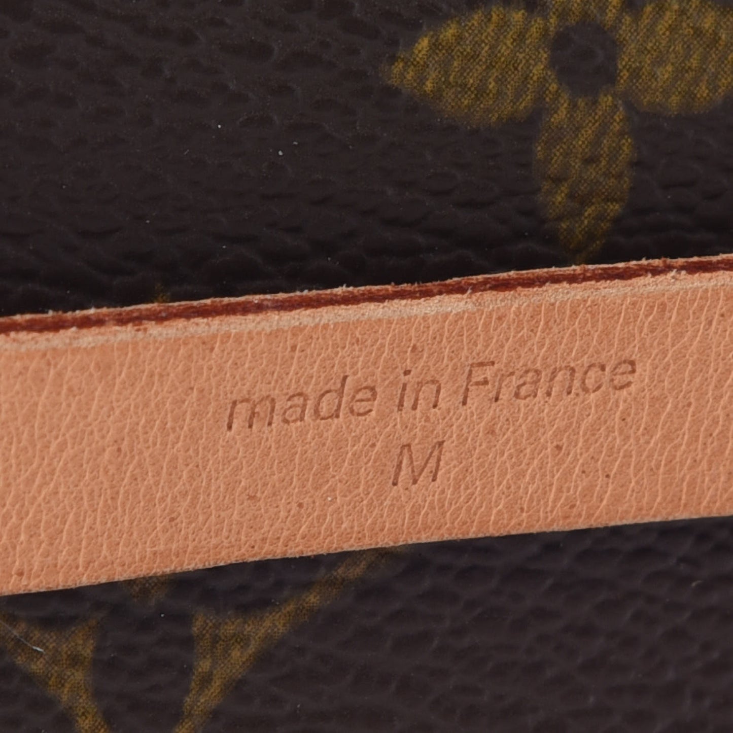 Monogram Pochette Florentine M