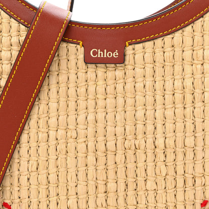Chloe Calfskin Raffia Embroidered Small Darryl Hobo Brown 8 of 12
