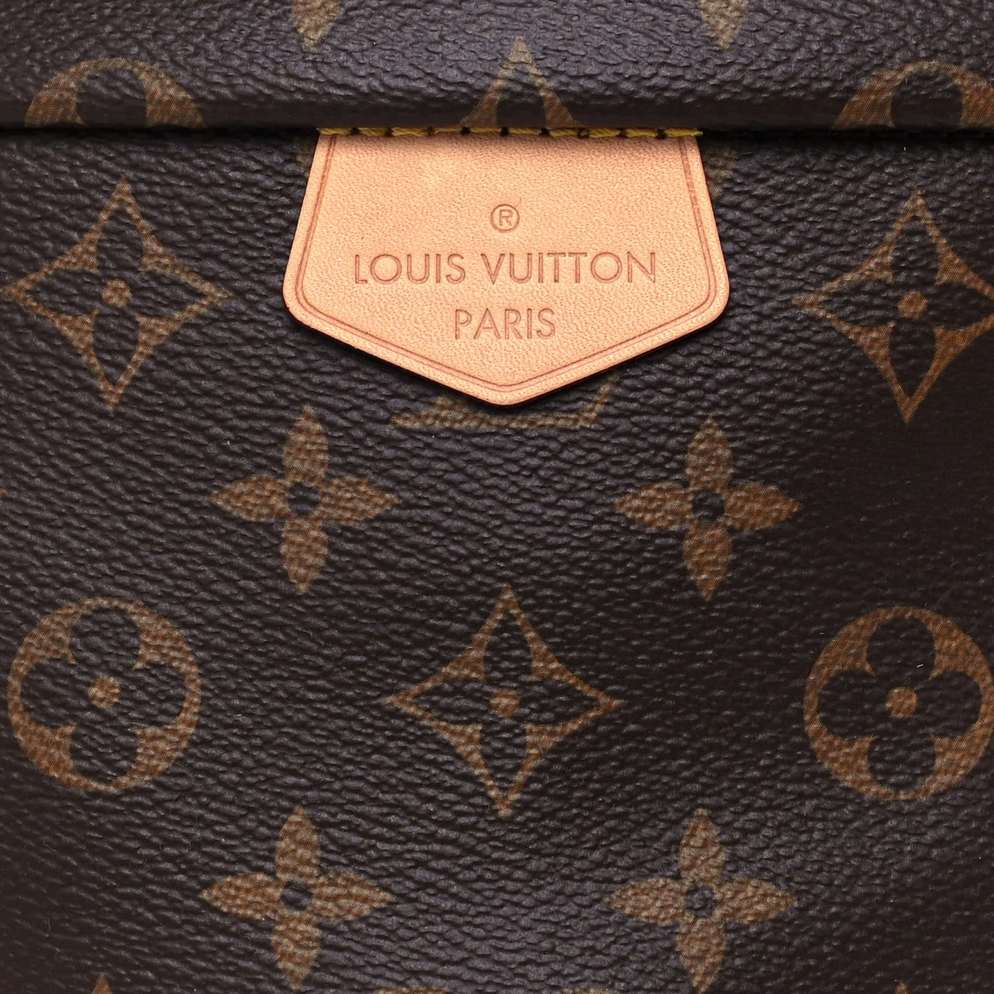 Monogram Bumbag