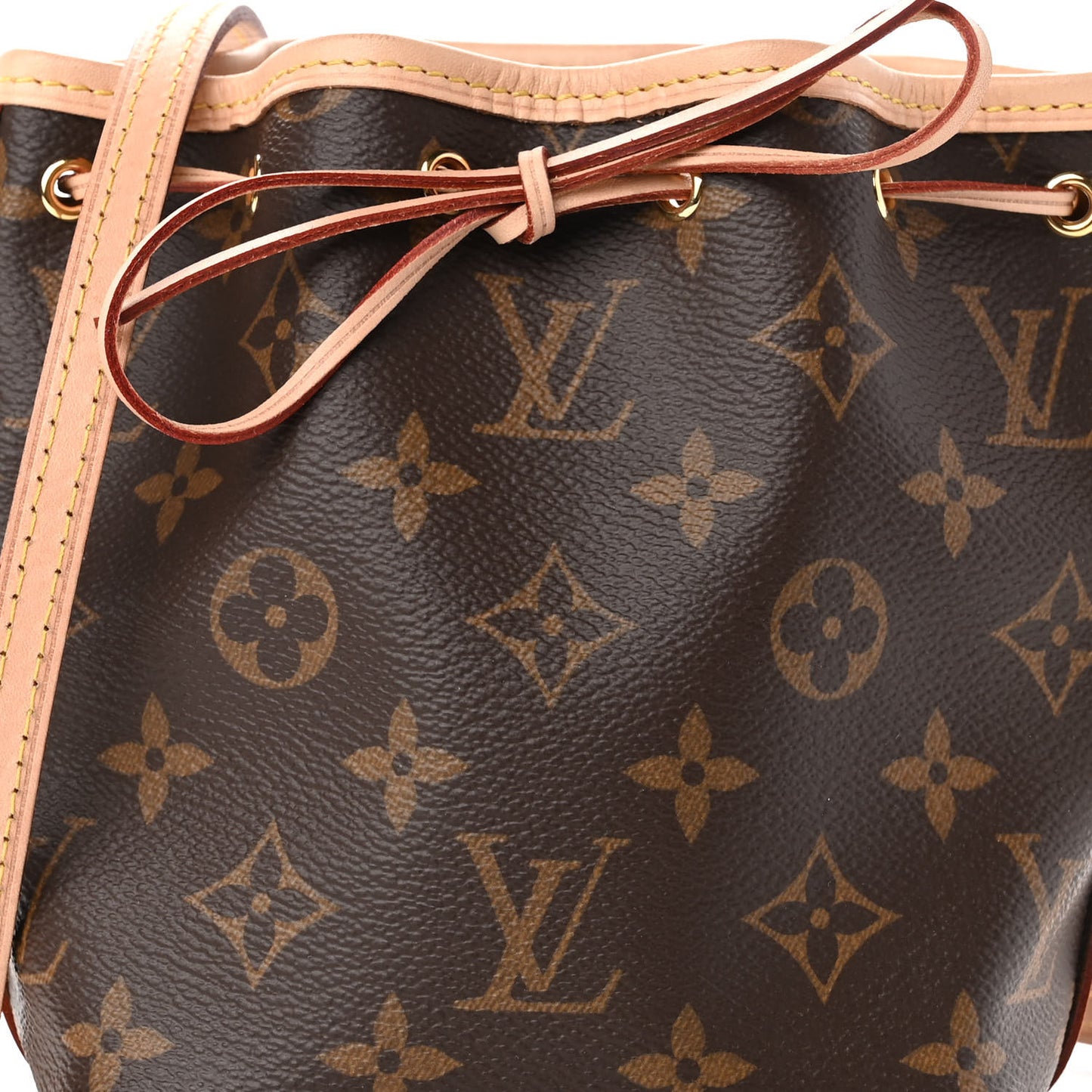 Monogram Nano Noe