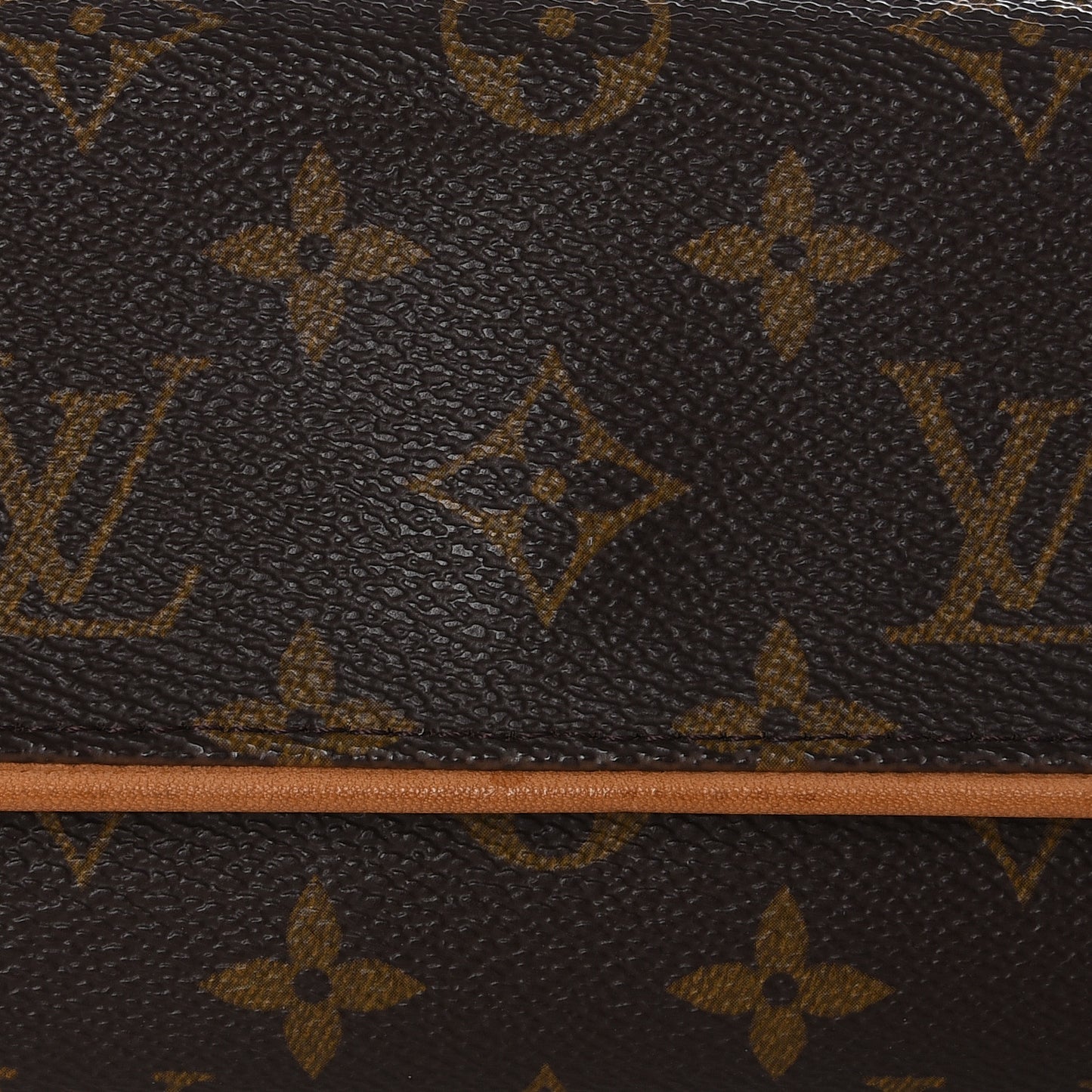 Monogram Pochette Twin PM