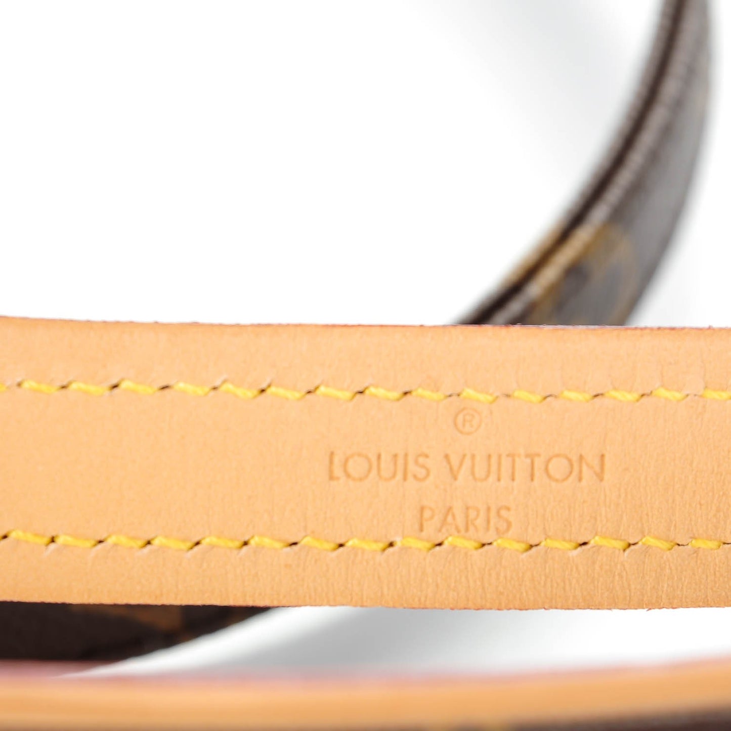 Monogram Baxter Dog Leash GM