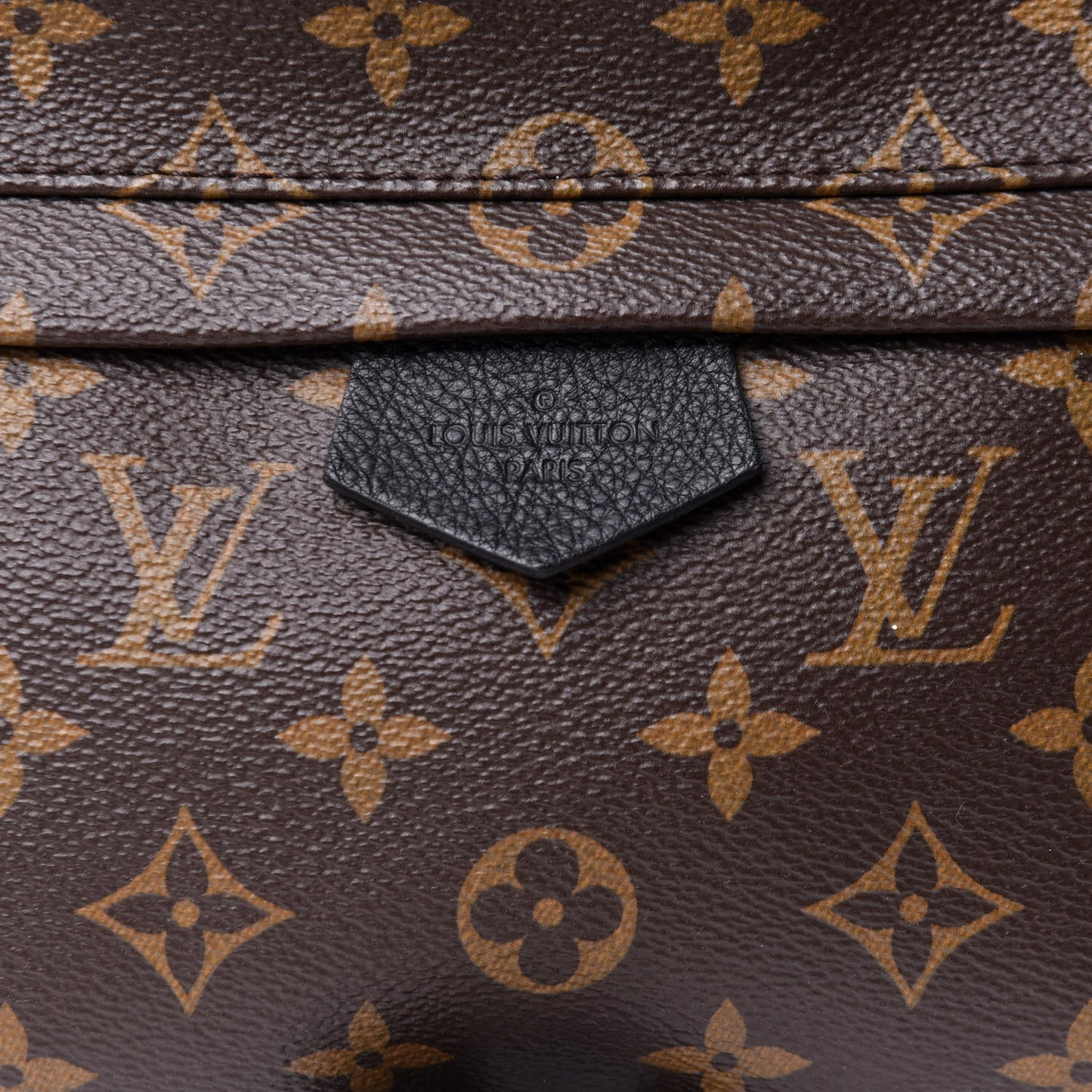Monogram Palm Springs Backpack MM