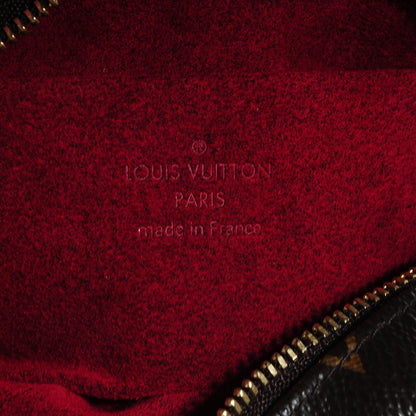 Louis Vuitton Monogram Wapity Case 5 of 7