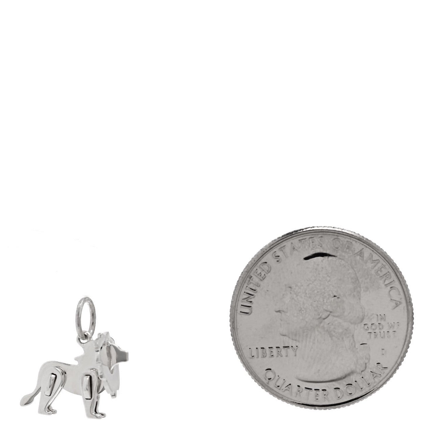 Tiffany Sterling Silver Save the Wild Lion Charm 2 of 5
