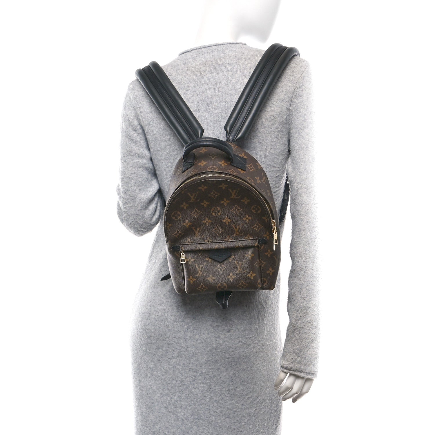 Louis Vuitton Monogram Palm Springs Backpack PM 2 of 12