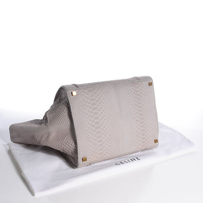 Celine Python Medium Phantom Luggage Grey 4 of 7