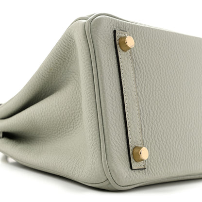 Hermes Togo Birkin 25 Gris Neve 9 of 14