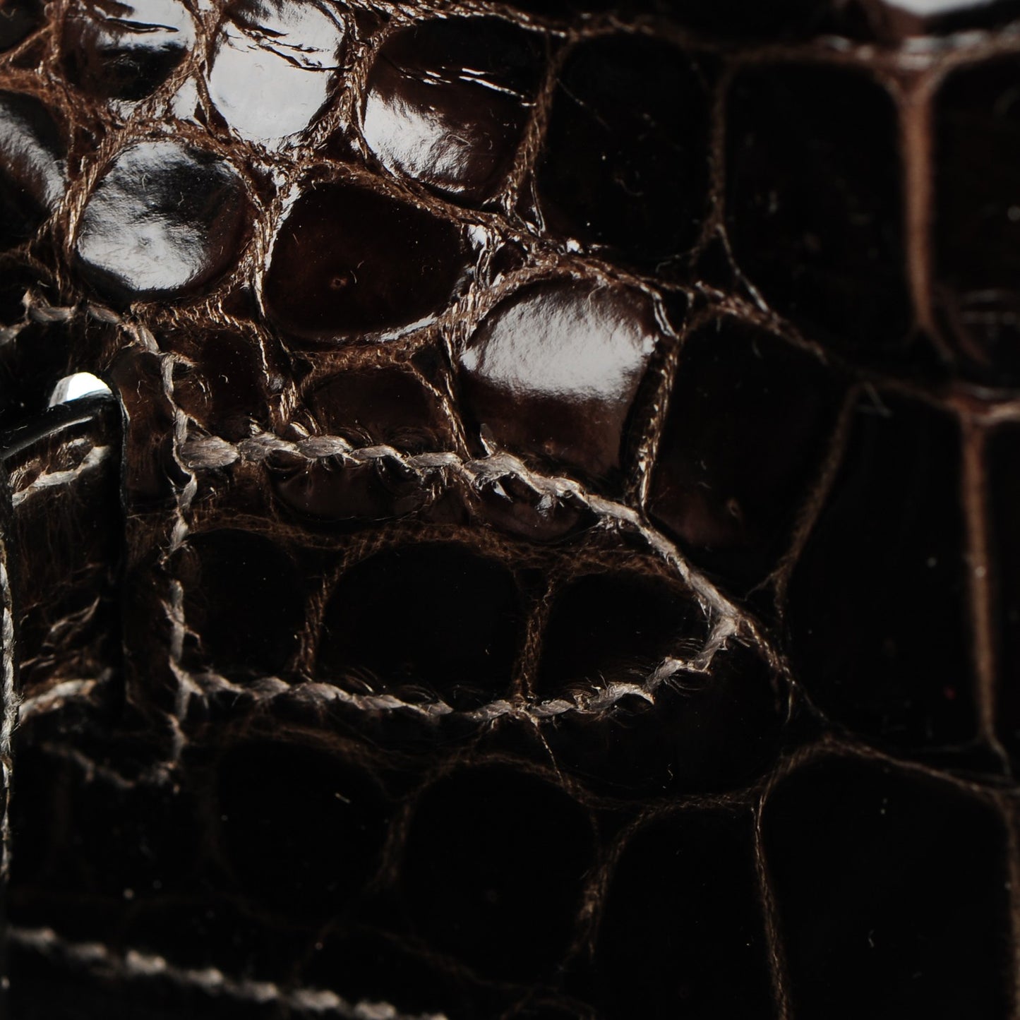 Shiny Porosus Crocodile Kelly Cut Pochette Graphite