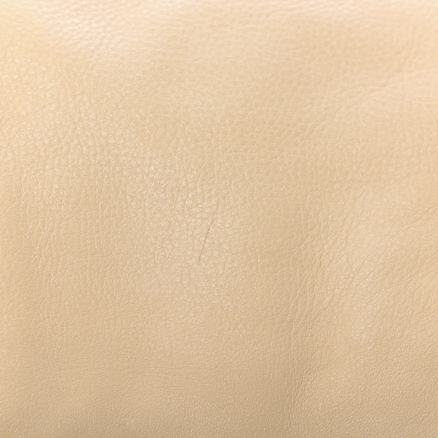 Calfskin Large Marcie Hobo Beige