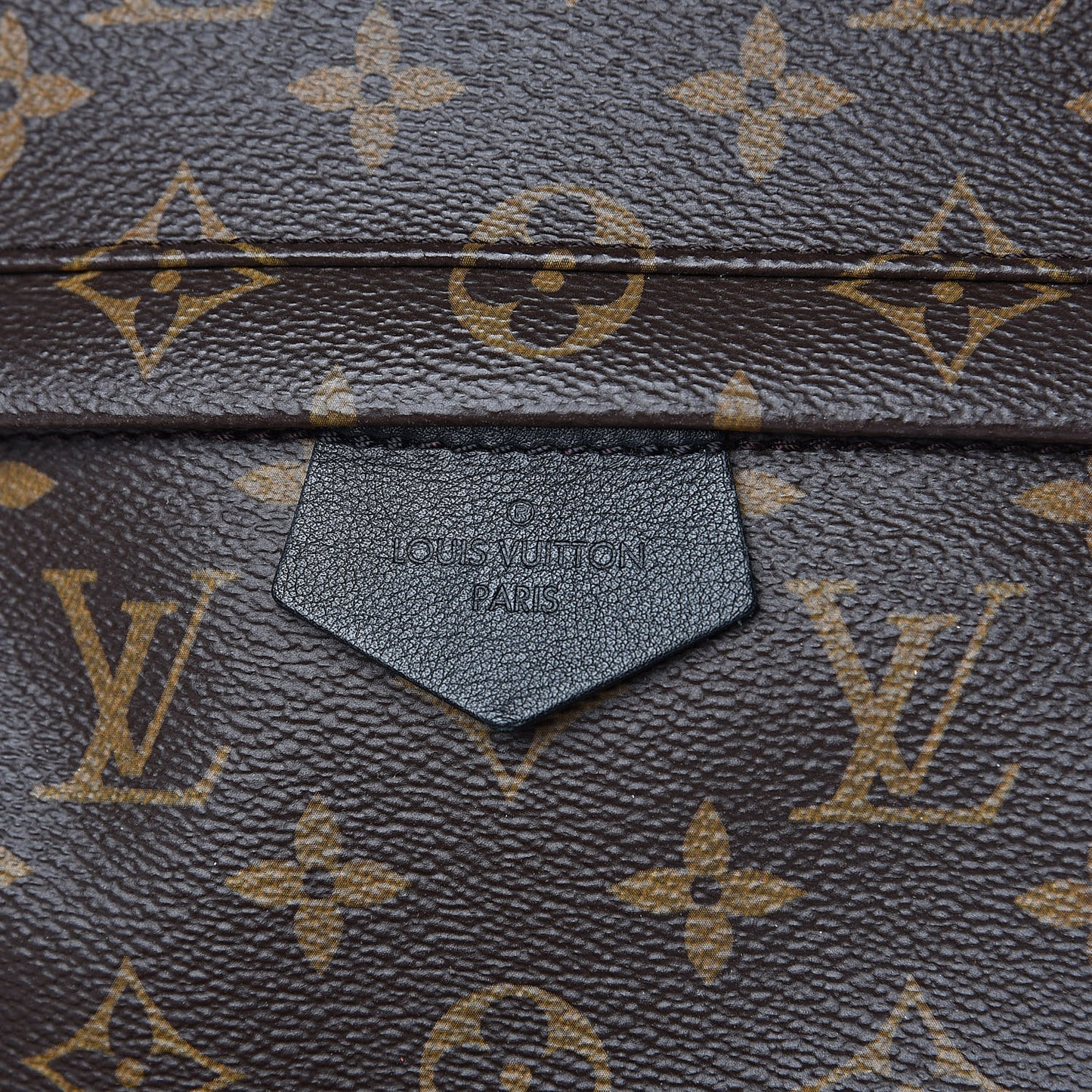 Monogram Palm Springs Backpack MM