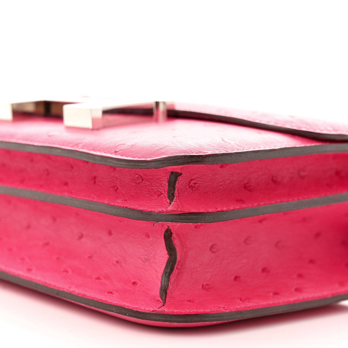Ostrich Constance 18 Rose Pourpre