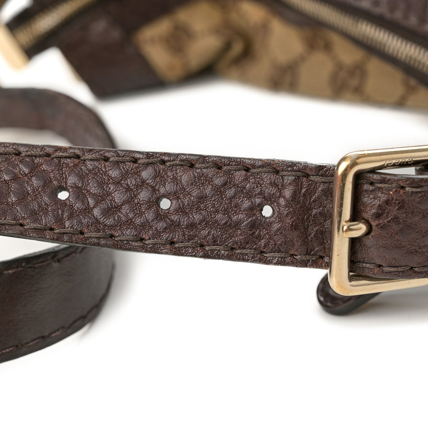 Monogram Medium Charlotte Hobo Brown