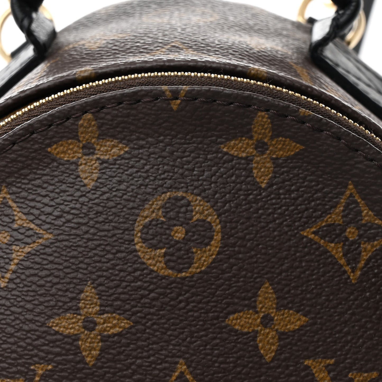Monogram Palm Springs Backpack Mini
