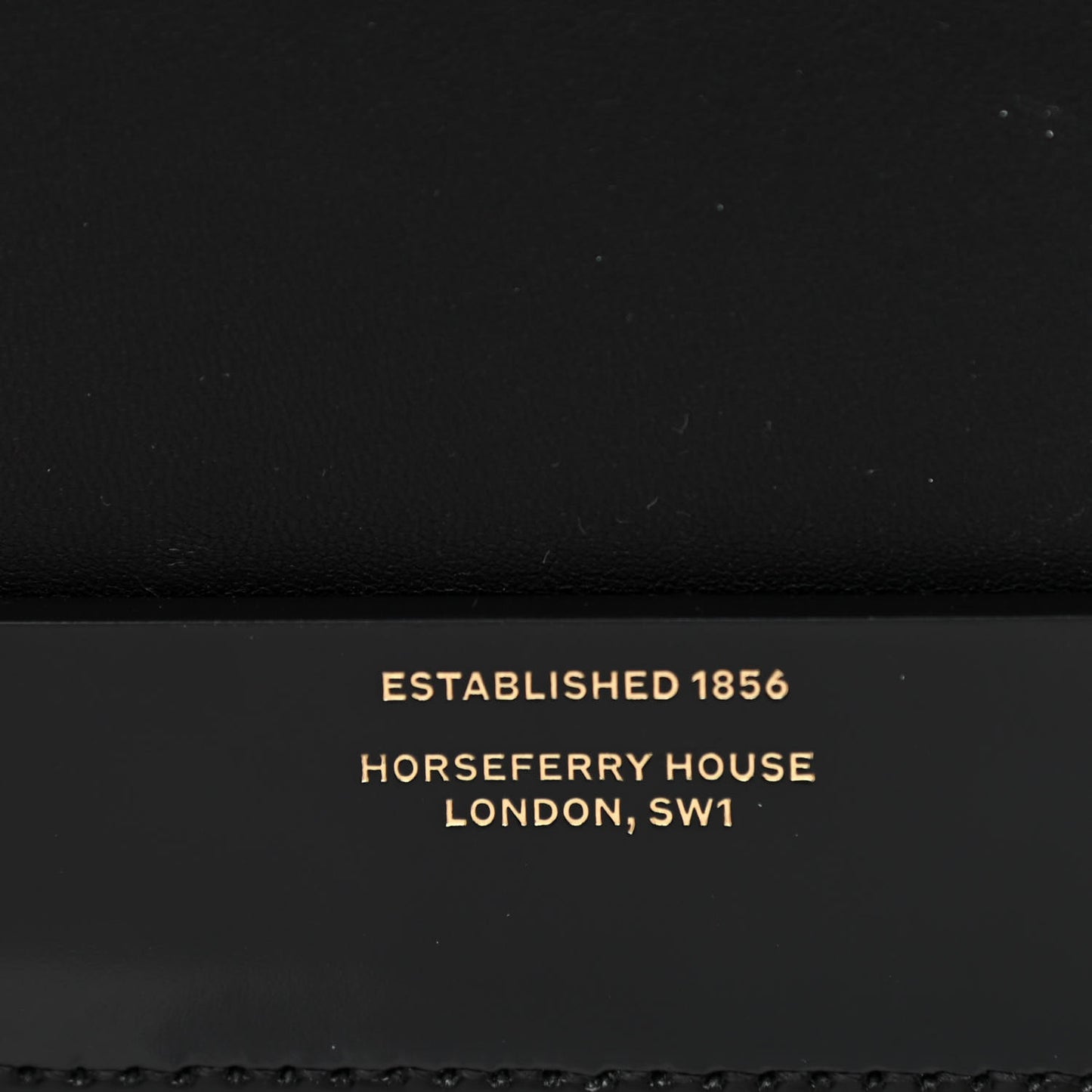 Calfskin Lizard Embossed Two Tone Small Grace Bag Black