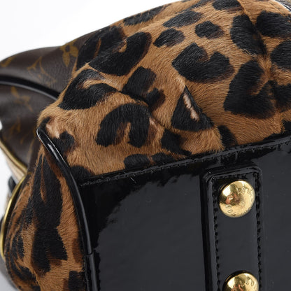 Louis Vuitton Monogram Leopard Adele 14 of 15