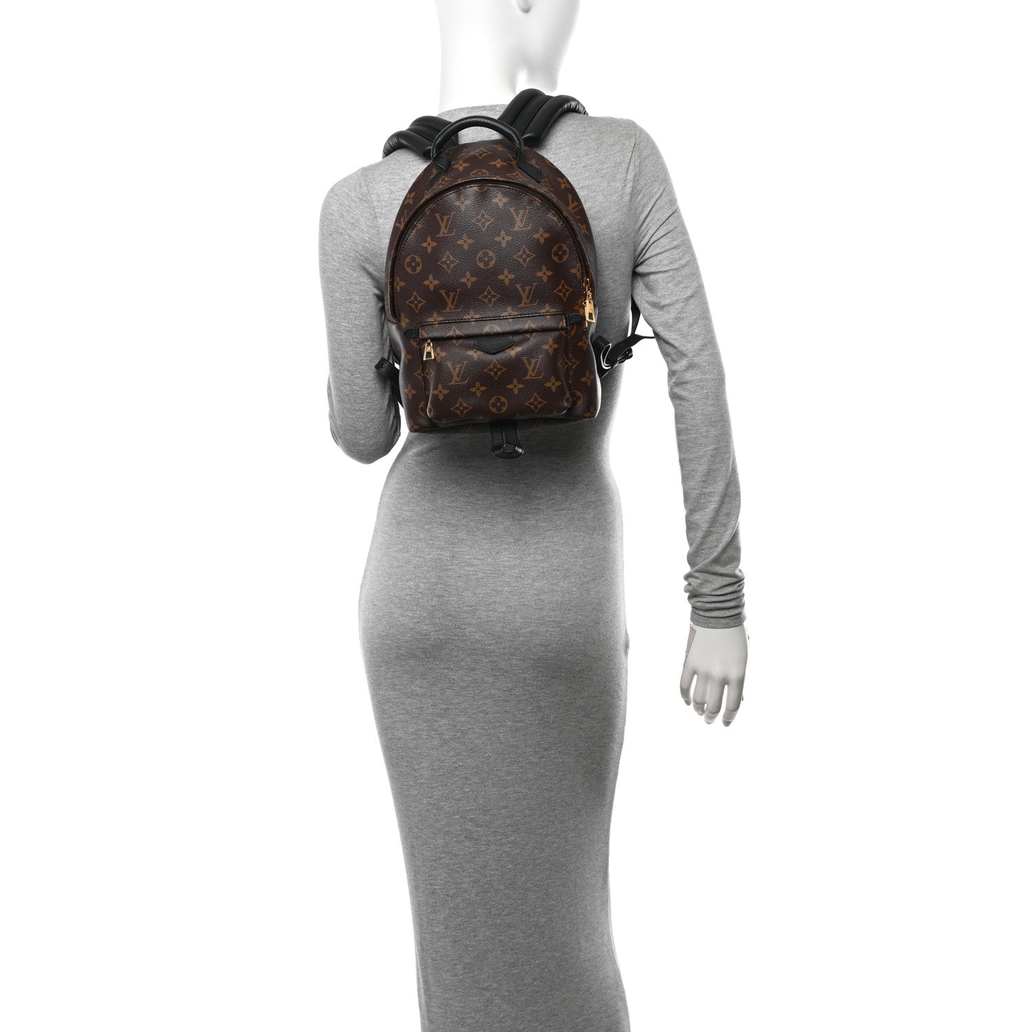 Louis Vuitton Monogram Palm Springs Backpack PM 2 of 11