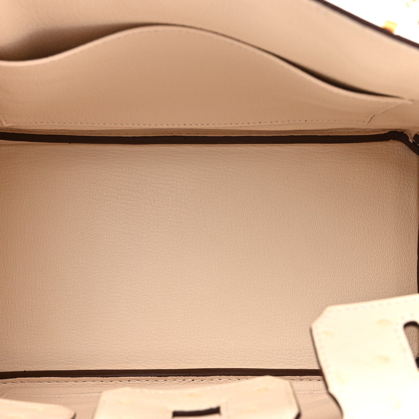 Ostrich Birkin 25 Nata