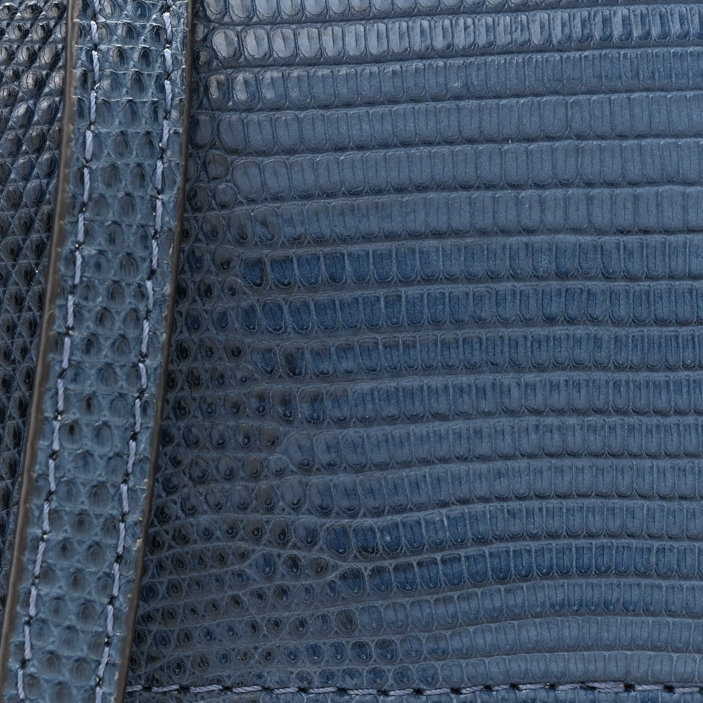 Lizard Mini Baguette Blue
