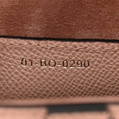 Christian Dior Grained Calfskin Saddle Bag Fard 7 of 11