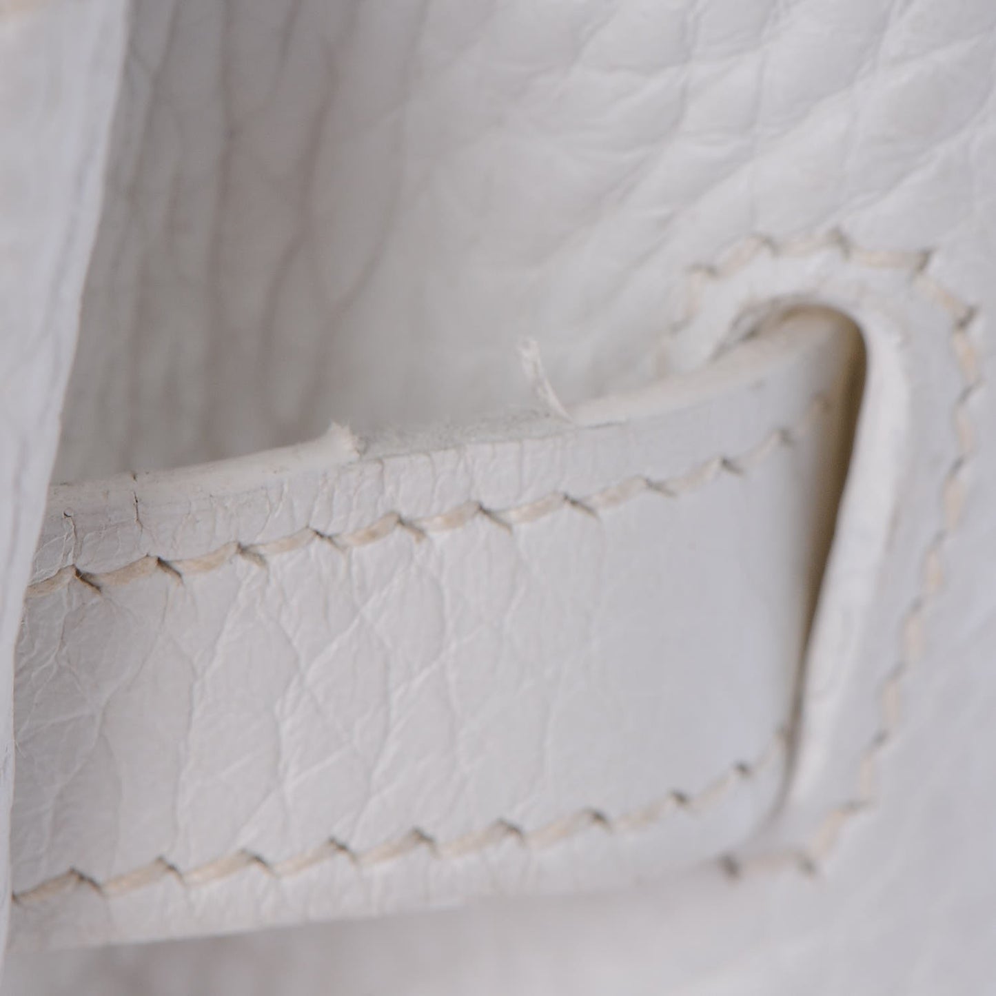 Toile Taurillon Clemence Birkin 35 White