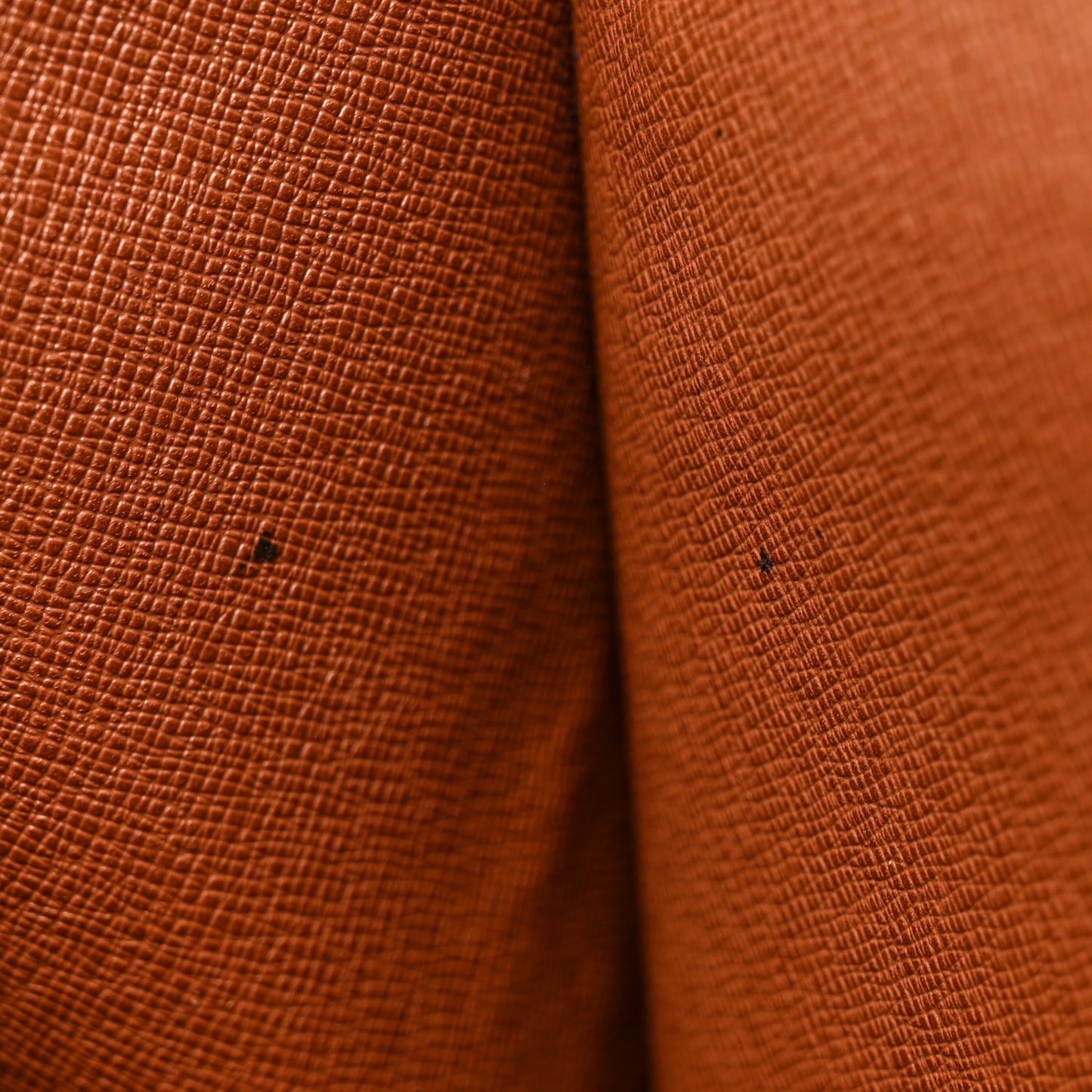 Monogram Monceau 26