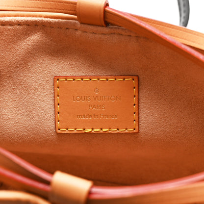 Louis Vuitton Monogram Dune Noe Purse 10 of 18