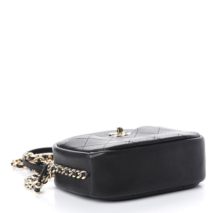 Chanel Goatskin Quilted Small Casual Trip Camera Case Black 4 of 15