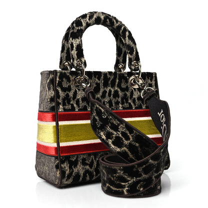 Christian Dior Velvet Mizza Embroidered Medium Lady D-Lite Beige Multicolor 3 of 9