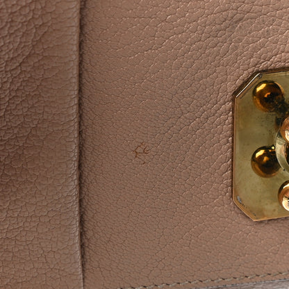 Chloe Calfskin Mini Elsie Crossbody Bag Blush 16 of 20