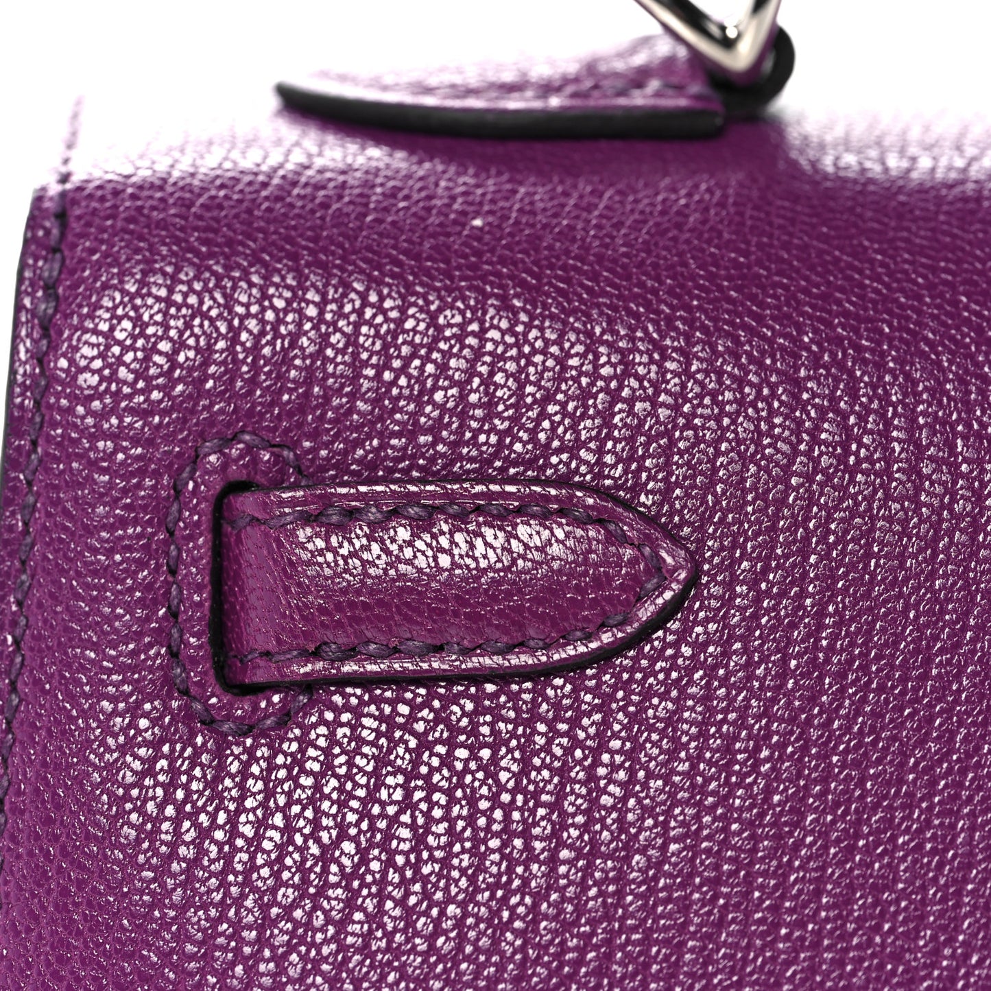 Chevre Chamkila Kelly Sellier 25 Anemone