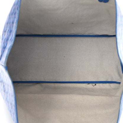 Goyard Goyardine Saint Louis PM Sky Blue 5 of 11