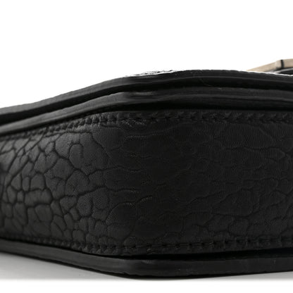 Christian Dior Canyon Grained Lambskin Dio(r)evolution Flap Bag Black 9 of 10