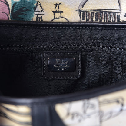 Christian Dior Canvas Paris 50s Saddle Bag Multicolor 6 of 16