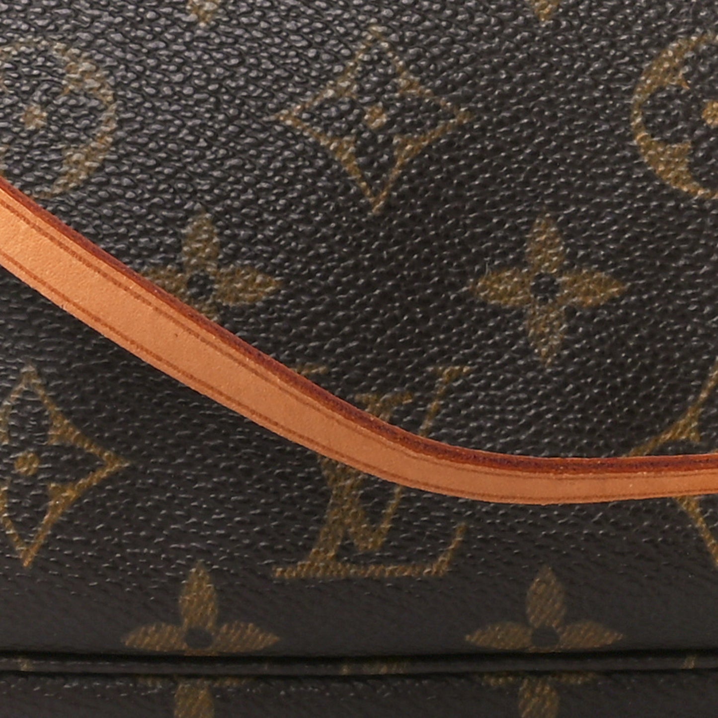 Monogram Pochette Accessories