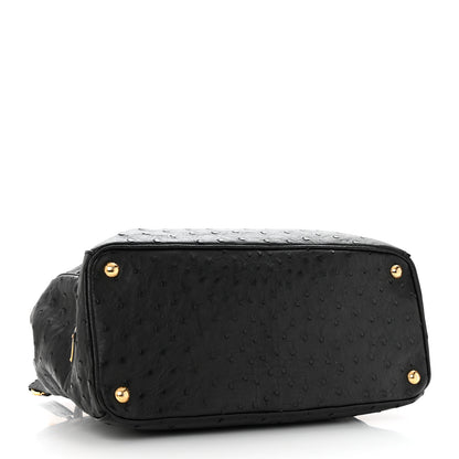 Prada Ostrich Double Zip Tote Black 4 of 27