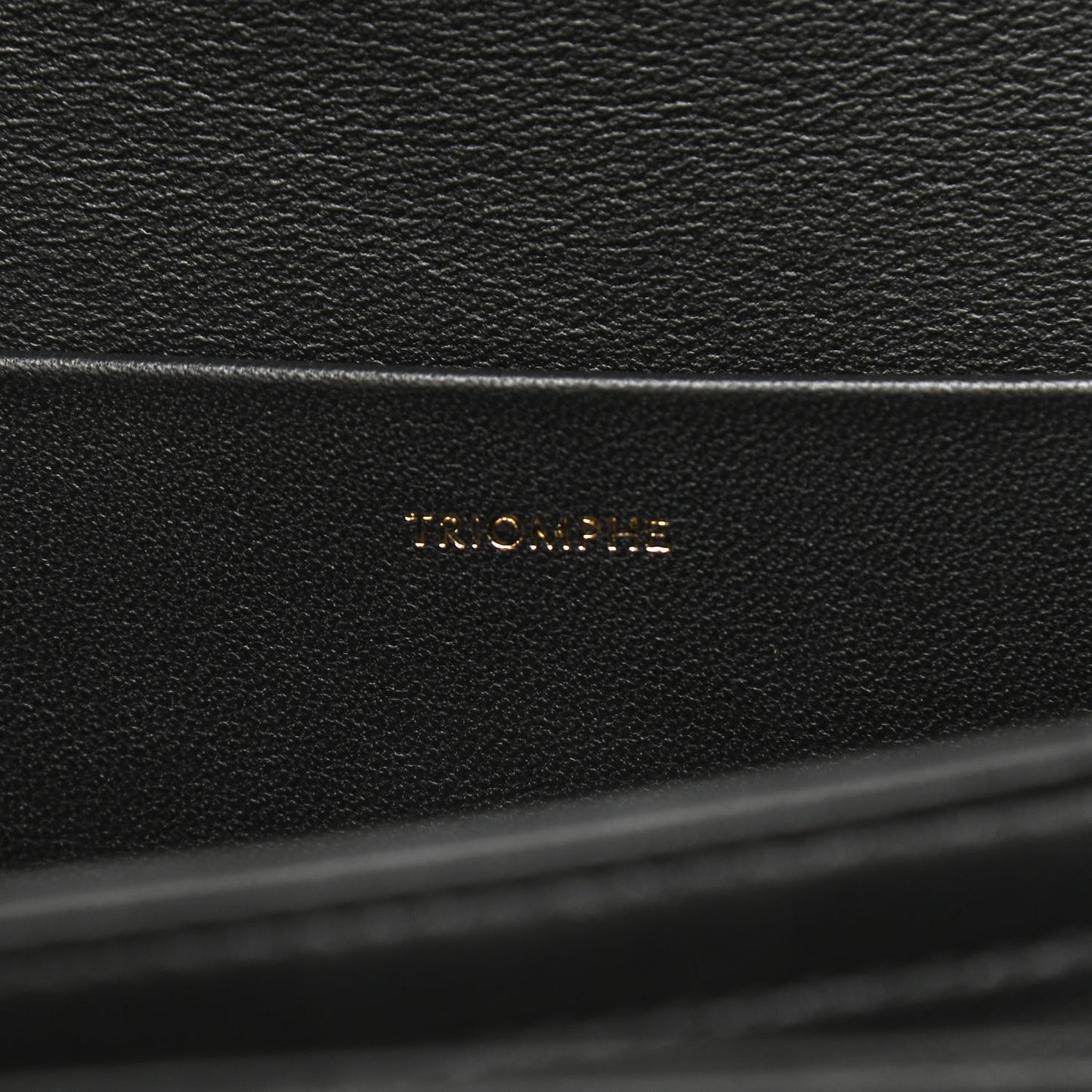 Canvas Calfskin Triomphe Embroidered Medium Triomphe Bag Black