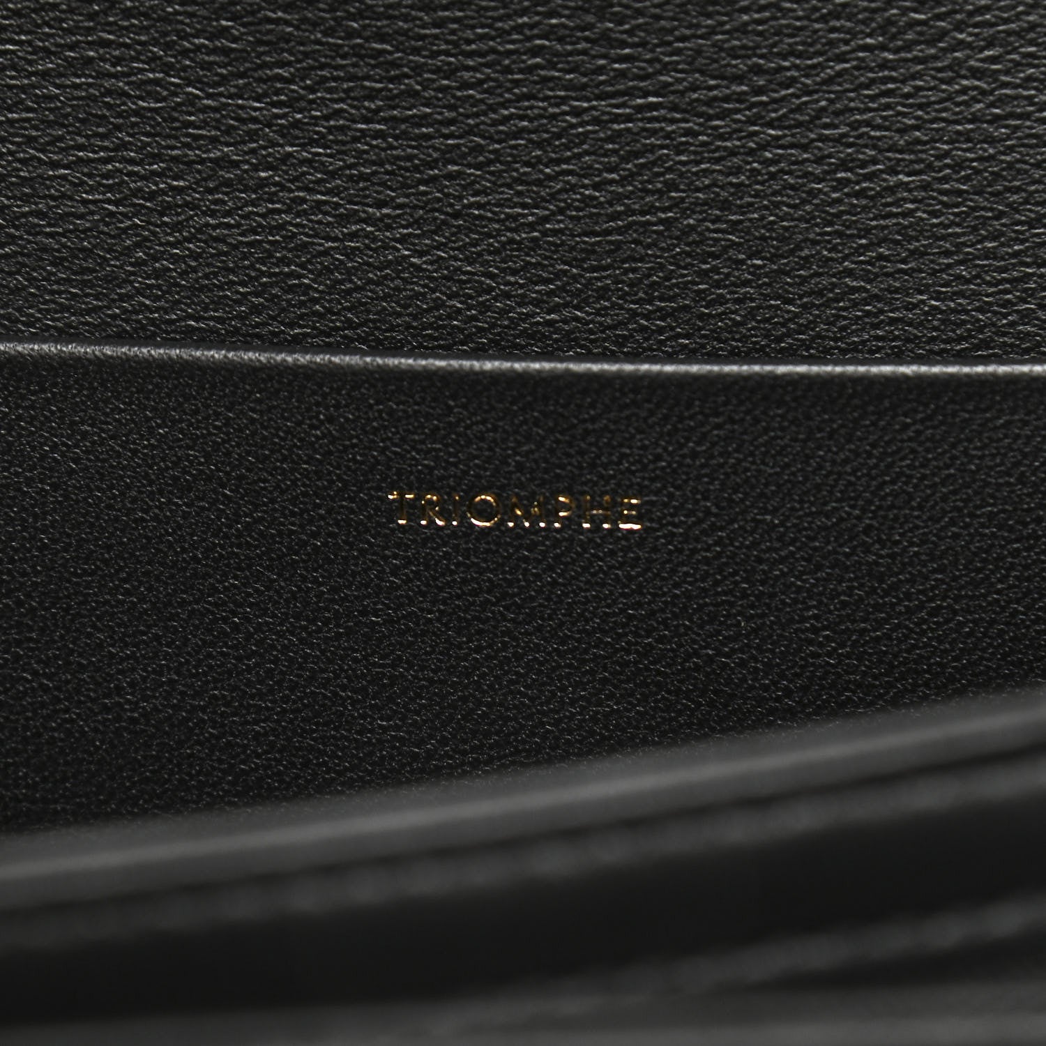 Celine Canvas Calfskin Triomphe Embroidered Medium Triomphe Bag Black 7 of 12