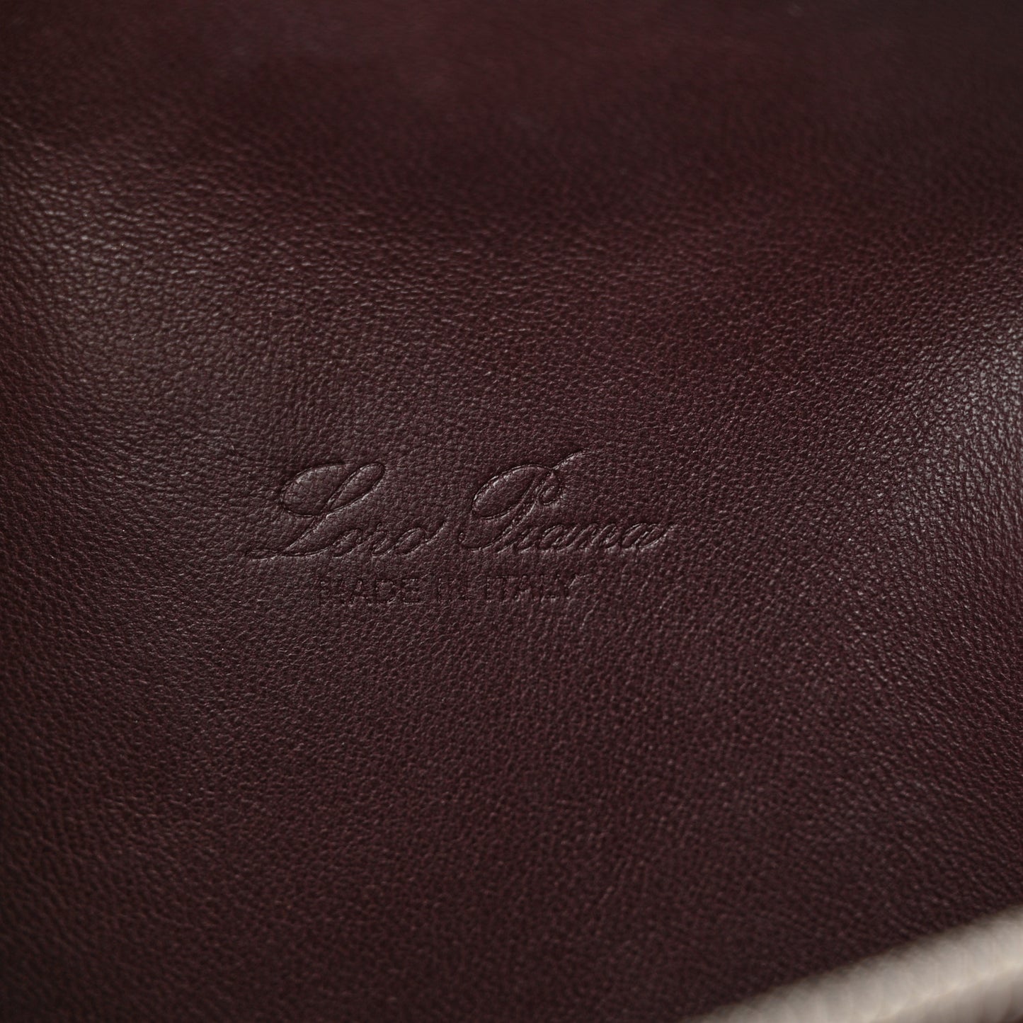 Grained Calfskin L19 Extra Pocket Pouch Plum