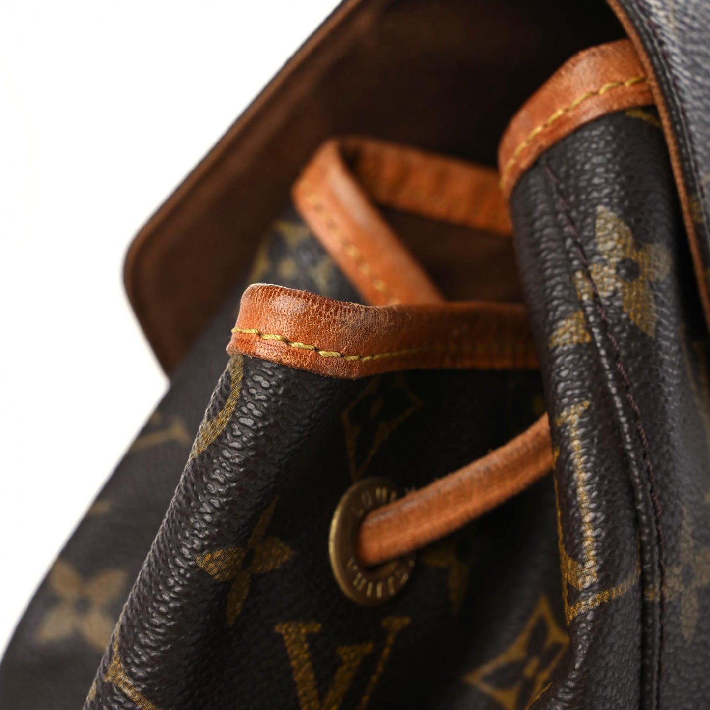 Monogram Montsouris GM Backpack