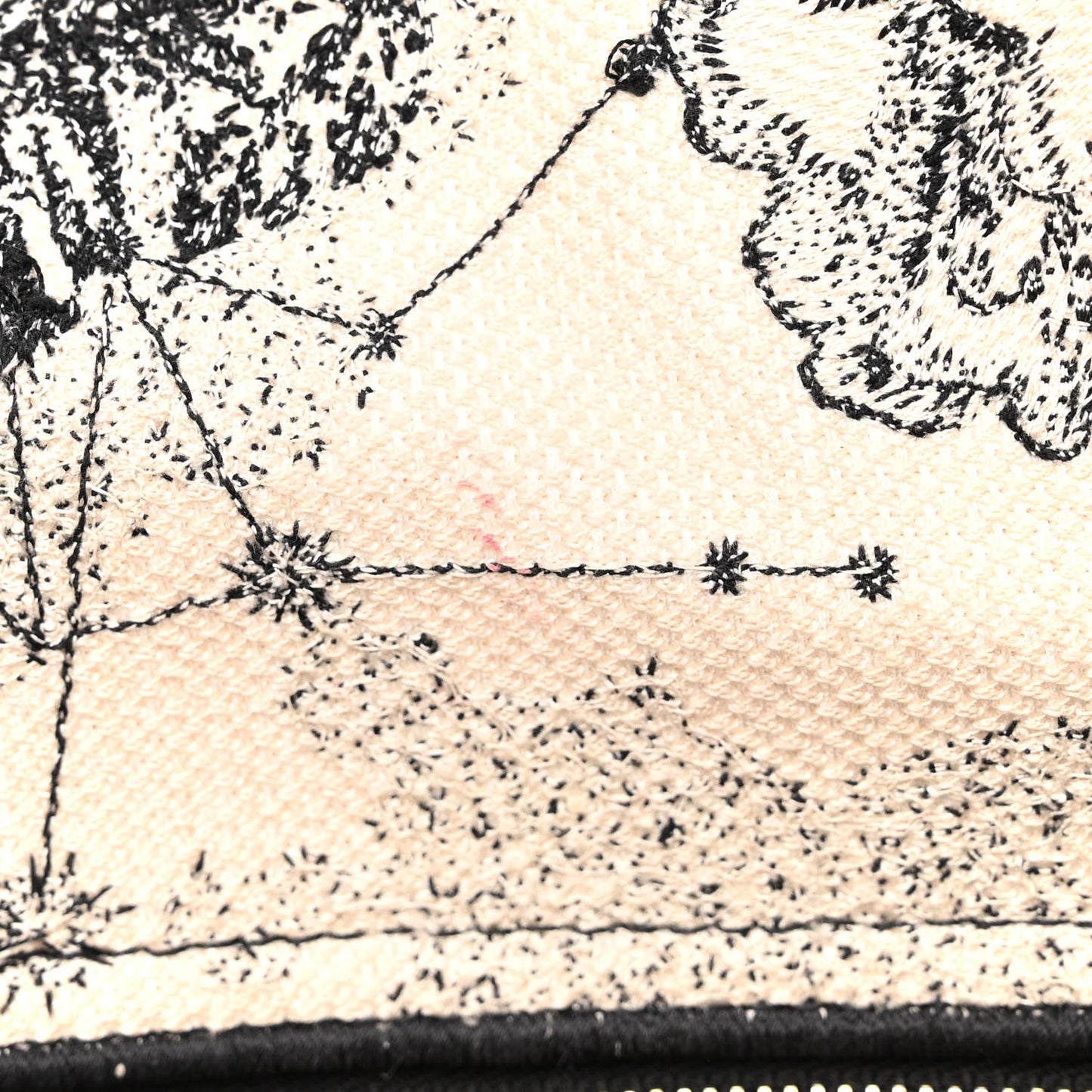 Canvas Embroidered Zodiac Toile De Jouy Medium Lady D-Lite Latte