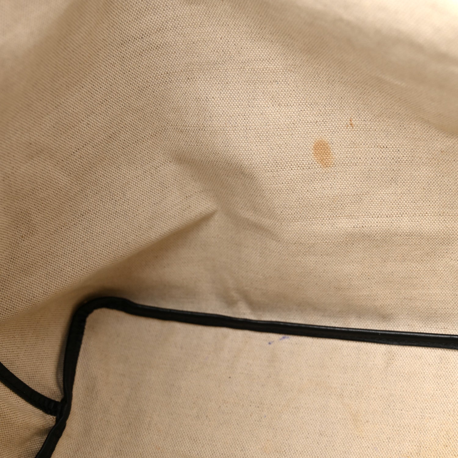 Goyard Goyardine Saint Louis PM Black 11 of 15