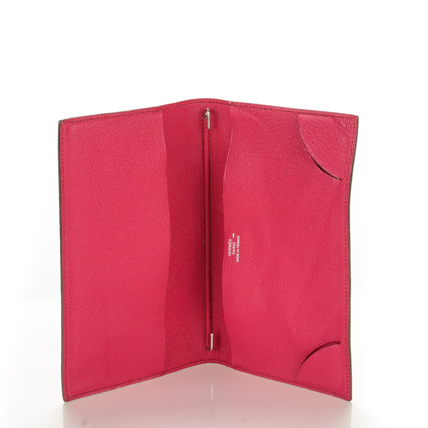 Lizard Vision II Agenda Cover Fuschia