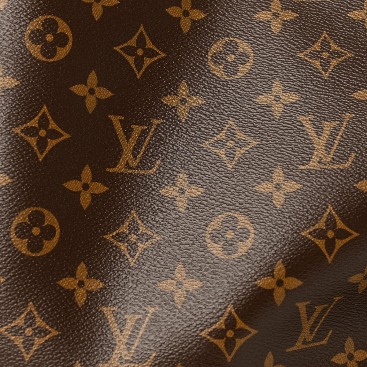 Monogram Carryall MM