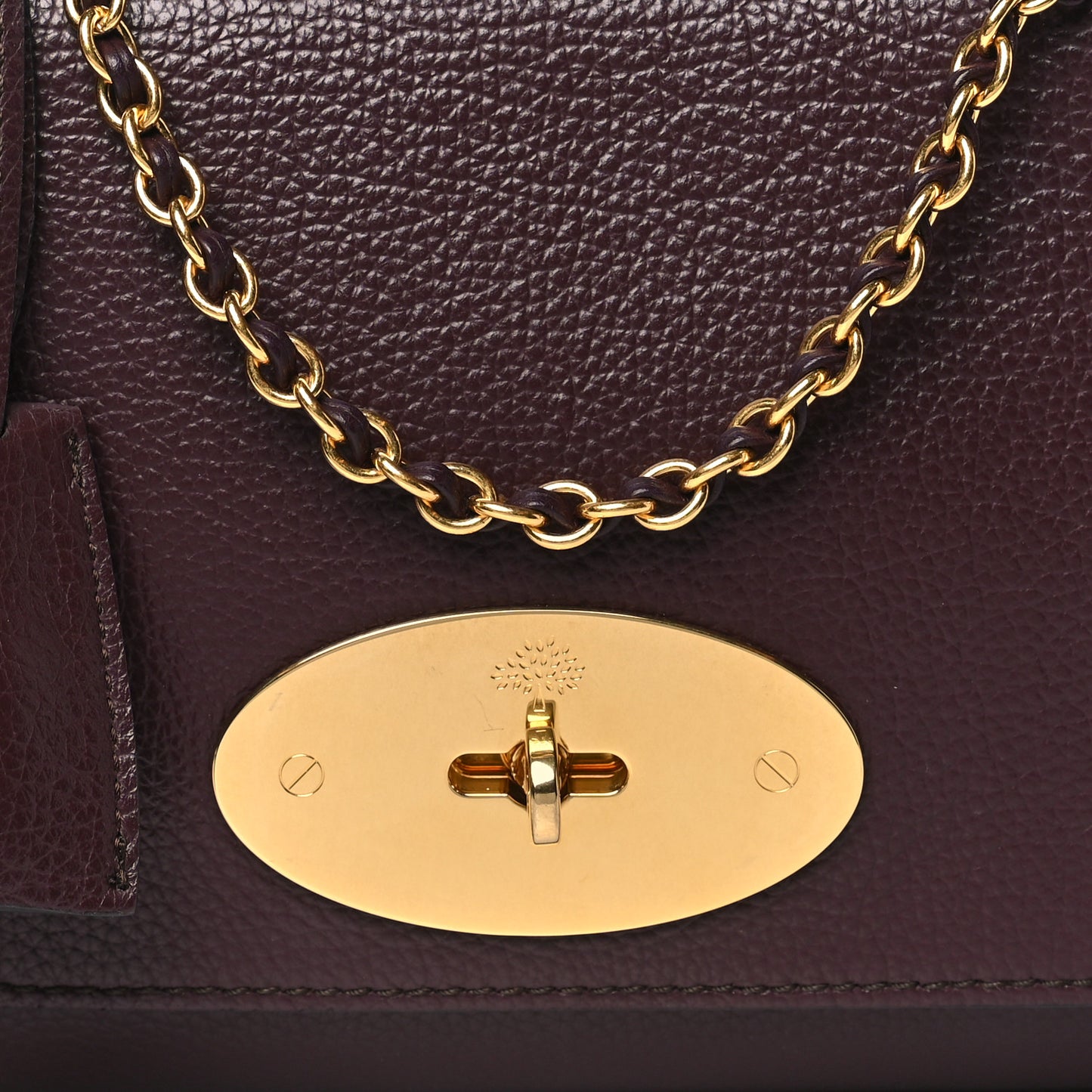 Small Classic Grain Calfskin Small Lily Flap Oxblood