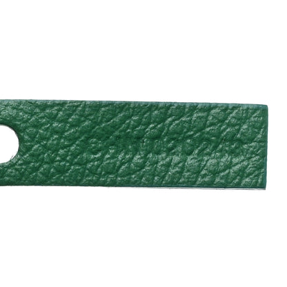 Goyard Goyardine Saint Louis GM Green 8 of 10